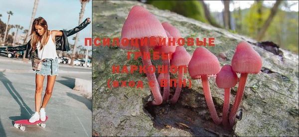 амф Балахна
