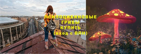 амф Балахна