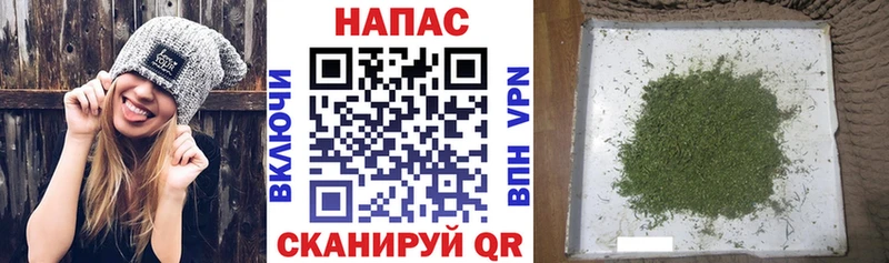 Марихуана MAZAR  кракен tor  Щигры  сколько стоит 